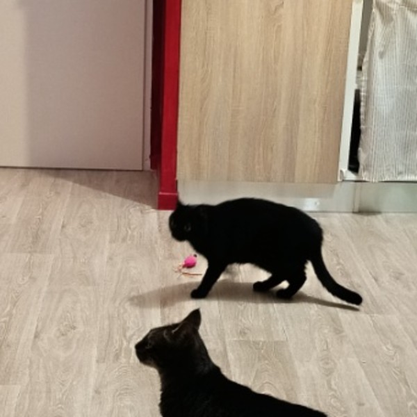 Foto del alojamiento