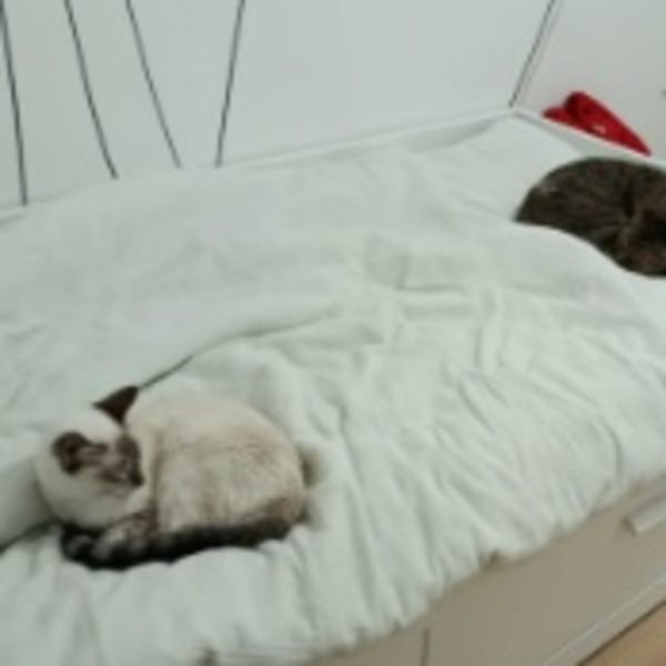 Foto del alojamiento