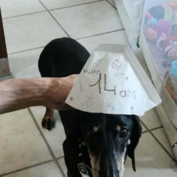 Foto del alojamiento