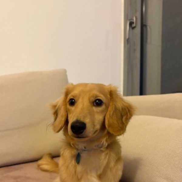 Foto del alojamiento