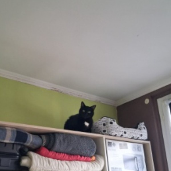 Foto del alojamiento