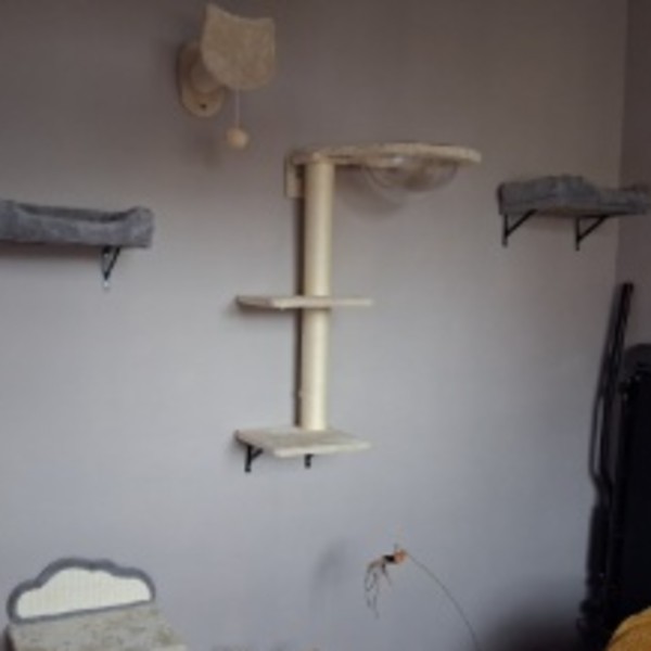 Foto del alojamiento