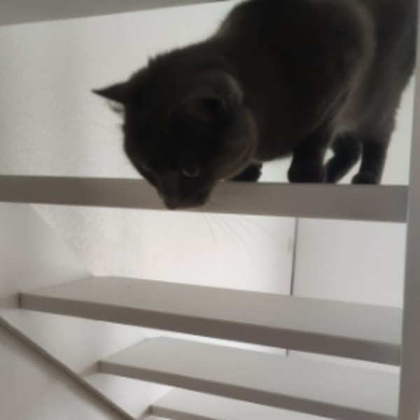 Foto del alojamiento