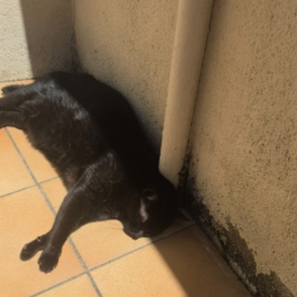 Foto del alojamiento