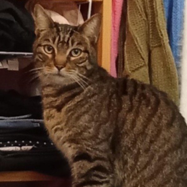 Foto del alojamiento