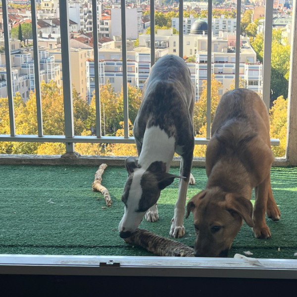 Foto del alojamiento