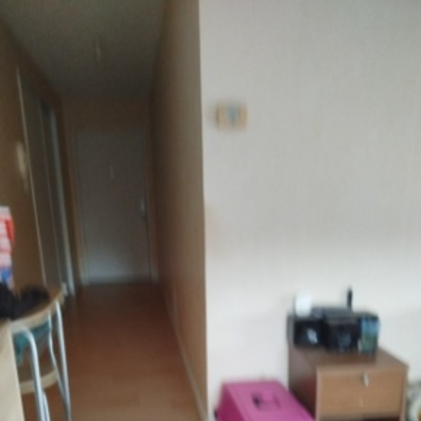 Foto del alojamiento