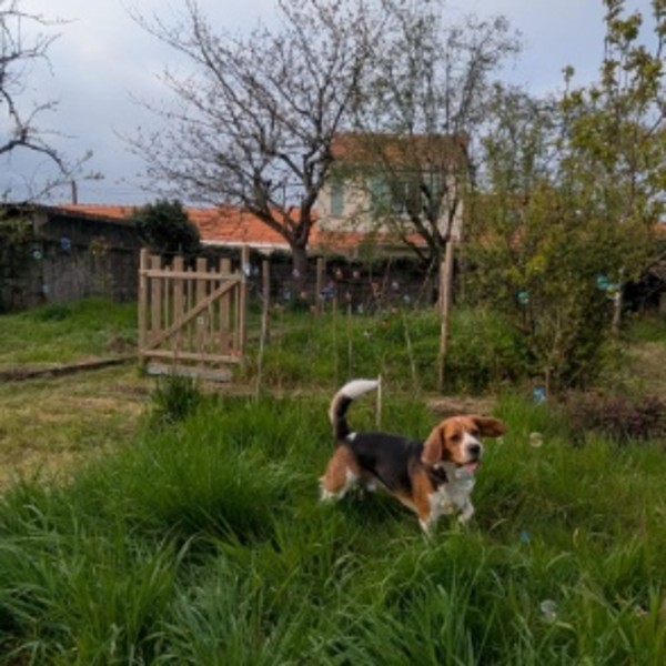 Foto del alojamiento
