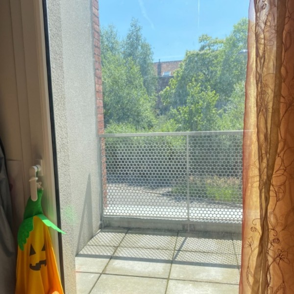 Foto del alojamiento