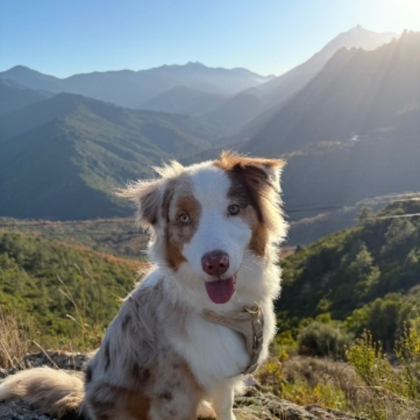 Foto del alojamiento
