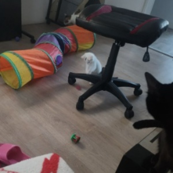 Foto del alojamiento