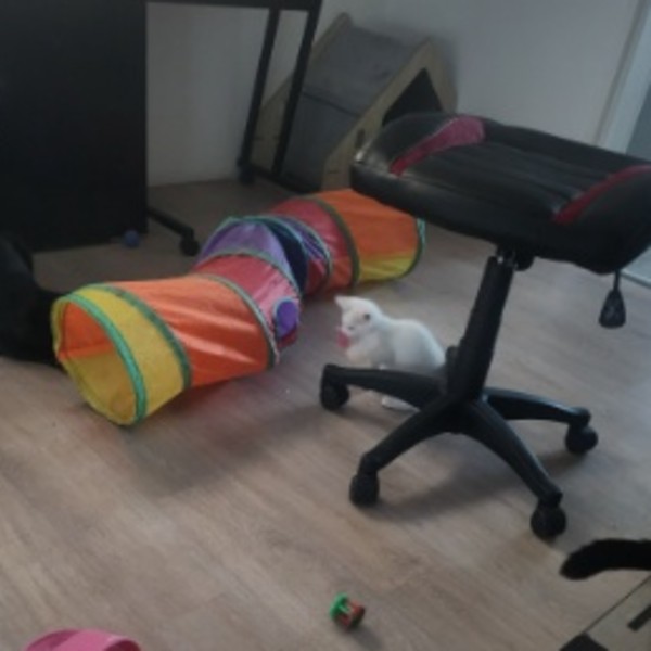 Foto del alojamiento