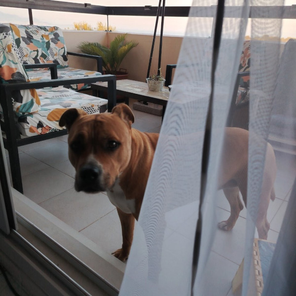 Foto del alojamiento