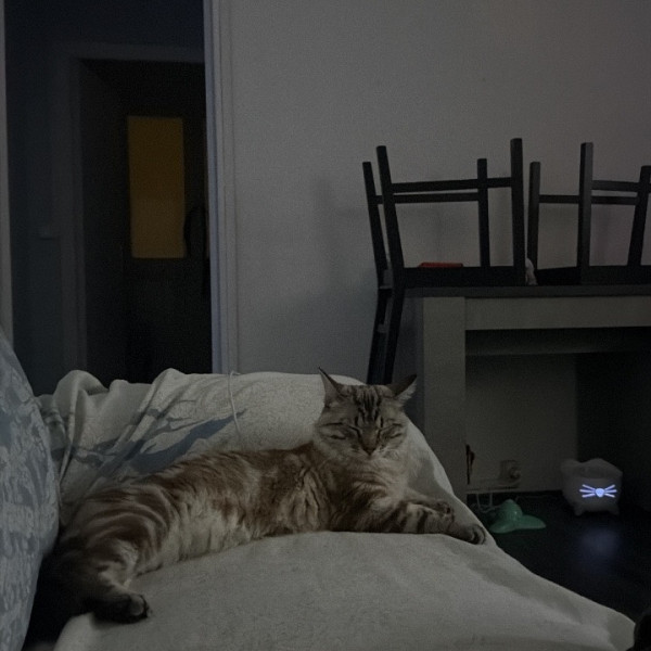 Foto del alojamiento