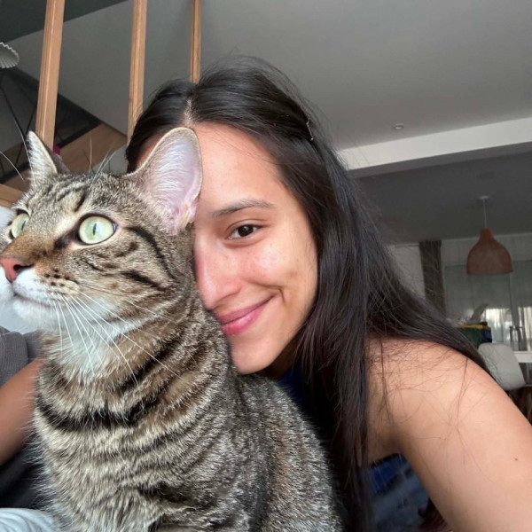 Foto del alojamiento