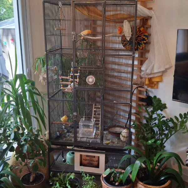 Foto del alojamiento