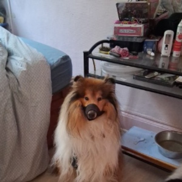 Foto del alojamiento
