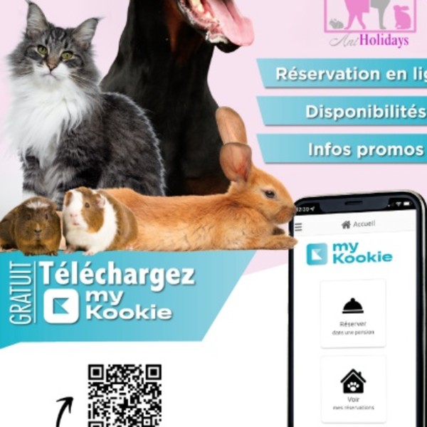 Foto del alojamiento
