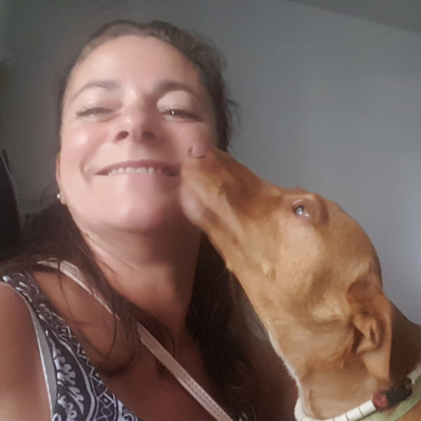 Foto del alojamiento
