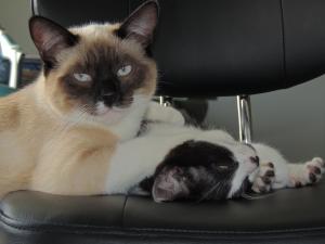 emmanuelle 