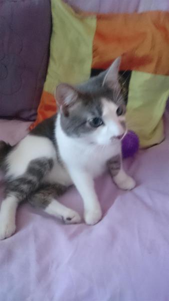 MAGALI