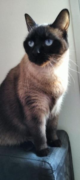 VALERIE