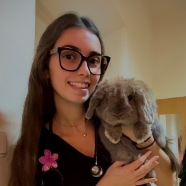 Elisa