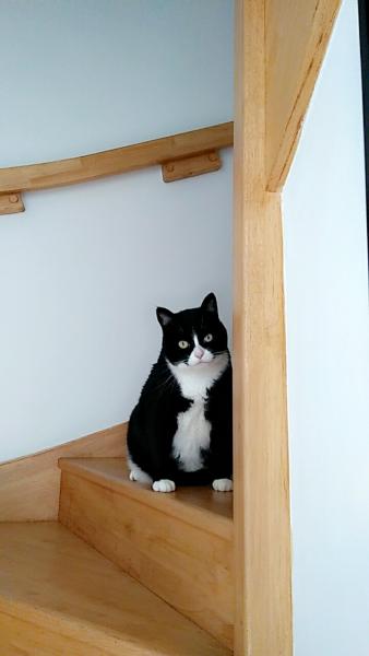 Sabrina