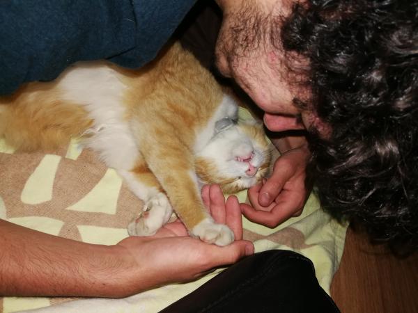 Léo