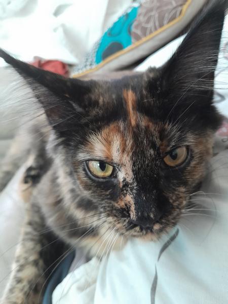 KARINE