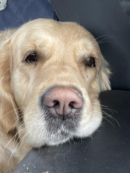 Lucie