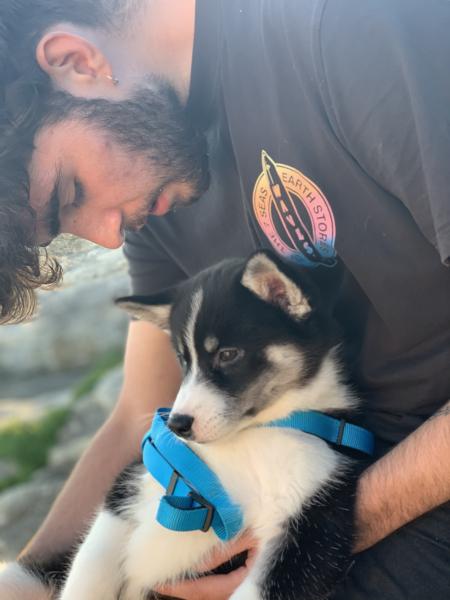 Dylan