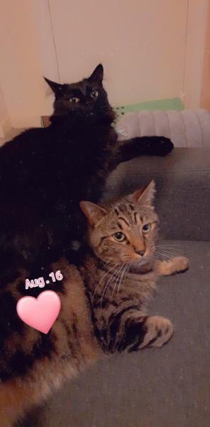 Sarah