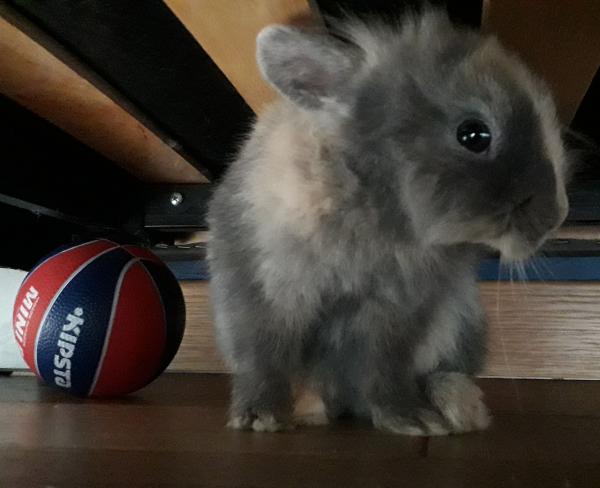 Sabrina
