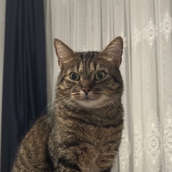 Audrey