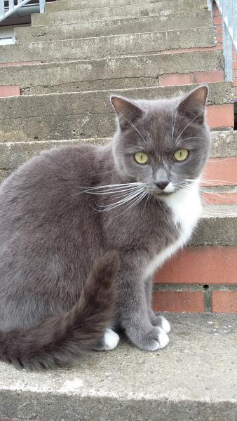 Chloé