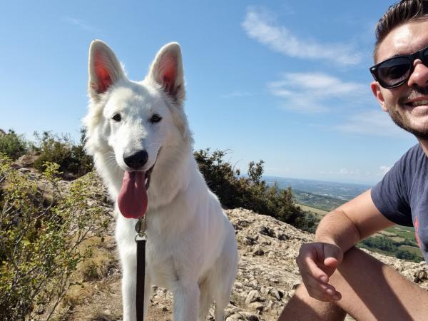 Mathieu