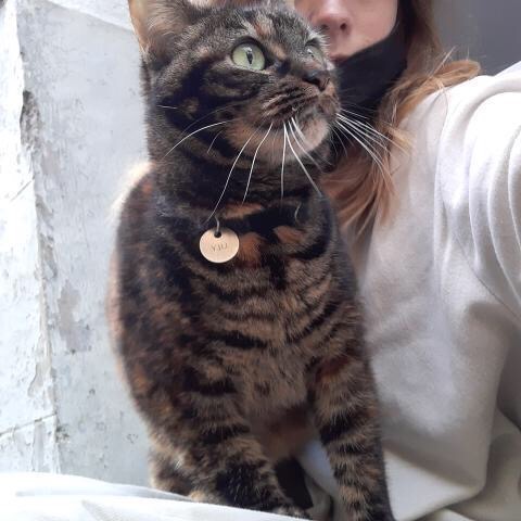 Mylèna