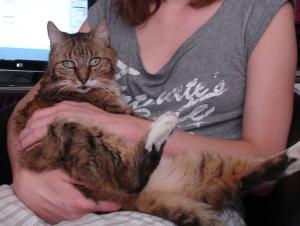 Elodie