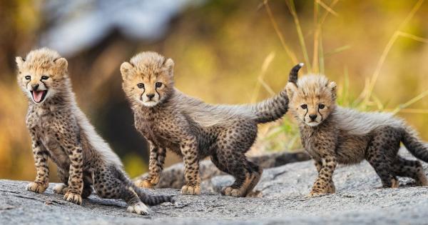 Sand