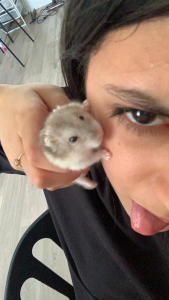 Tia