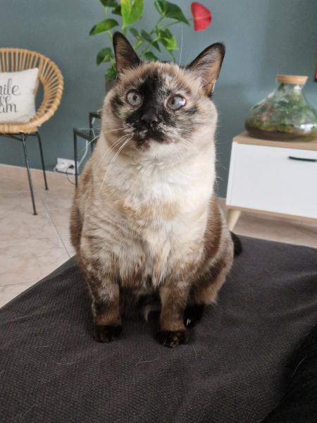 Aurelie