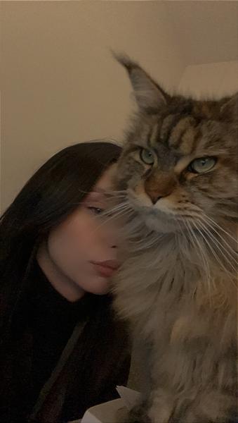 Marilou