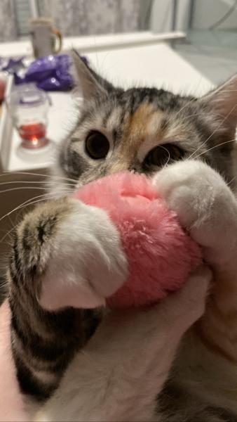 Lilou