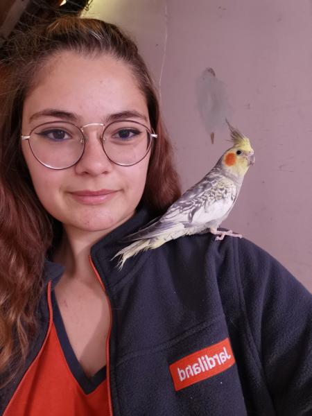 Elodie