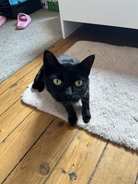 Mimi