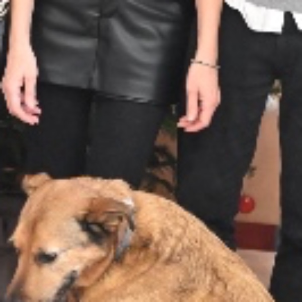 Alessandro