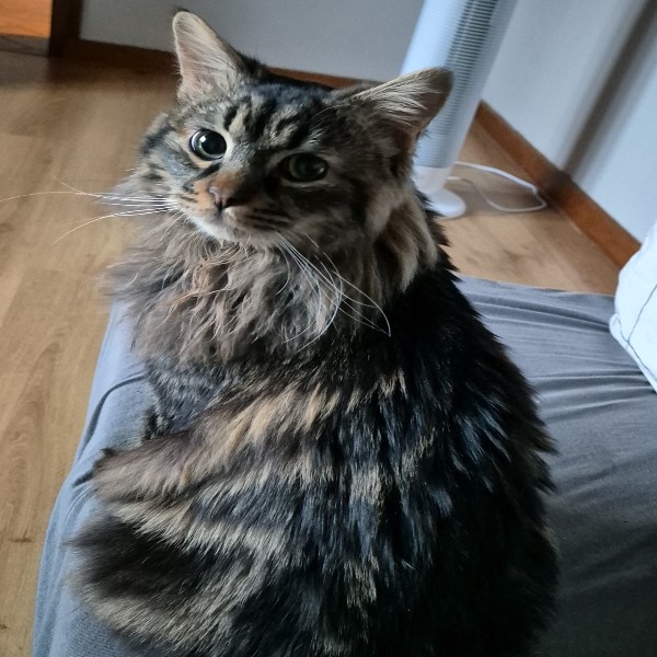 Chloé