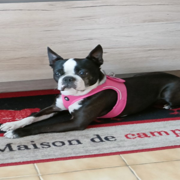 Chantal