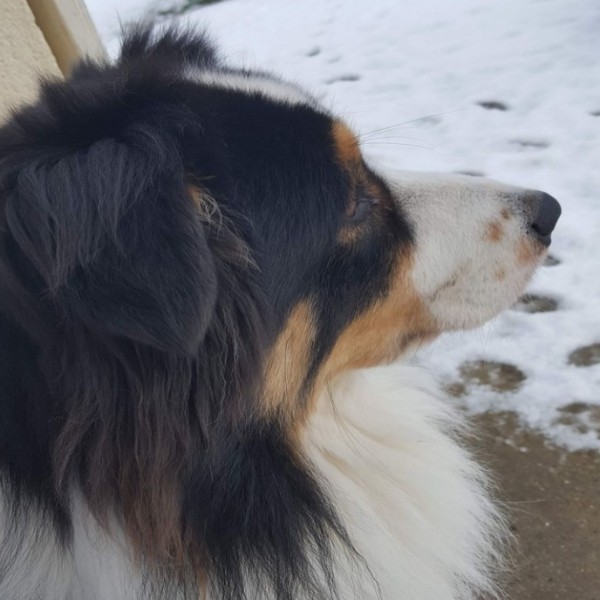 Chloé